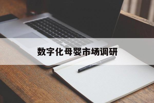 泰州市数字化母婴市场调研(数字化母婴市场调研报告)